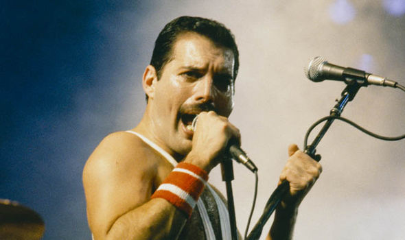 Freddie-749528.jpg
