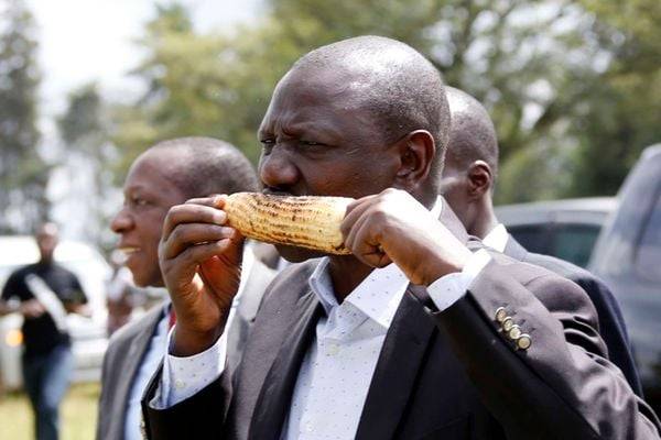 rutomaize-jpg.2588177