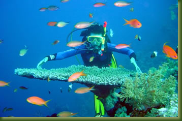 Mombasa-Diving.jpg