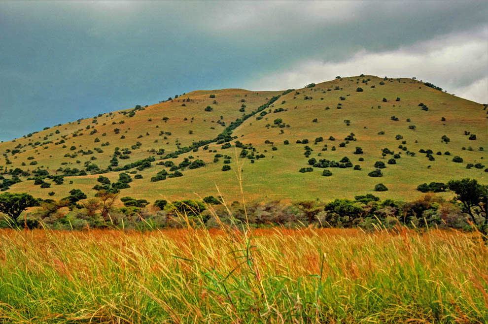 Ruma-National-Park_hillside.jpg