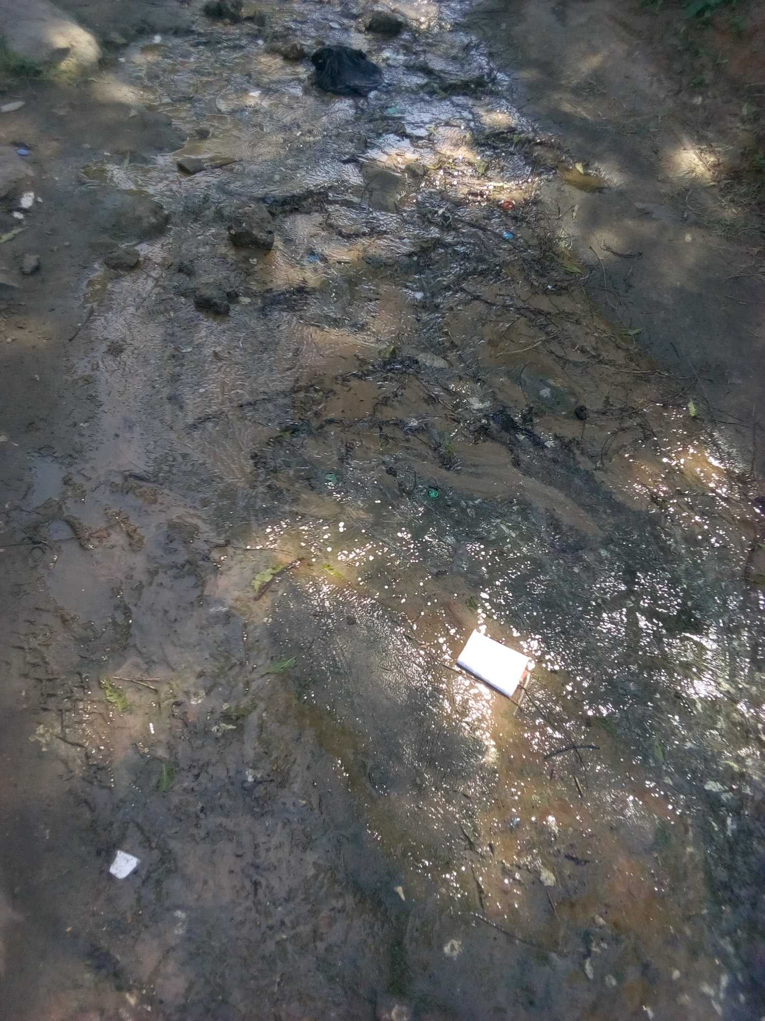 img_20180718_104240-jpg.812329