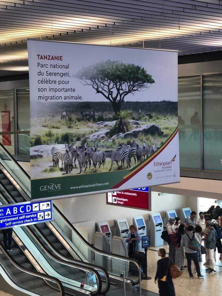 img_1531917848-924241-jpg.812500