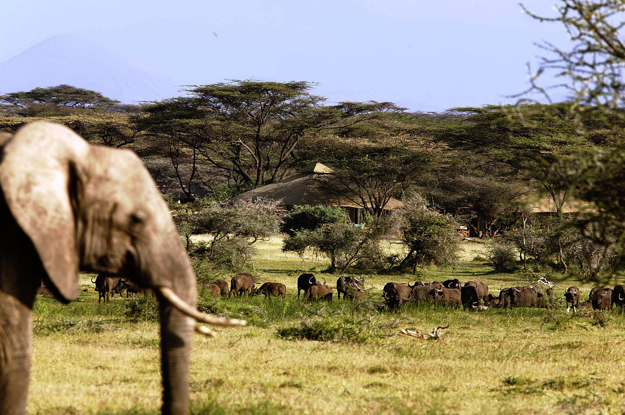 CZa8e-WWkAAn39V.jpg:large