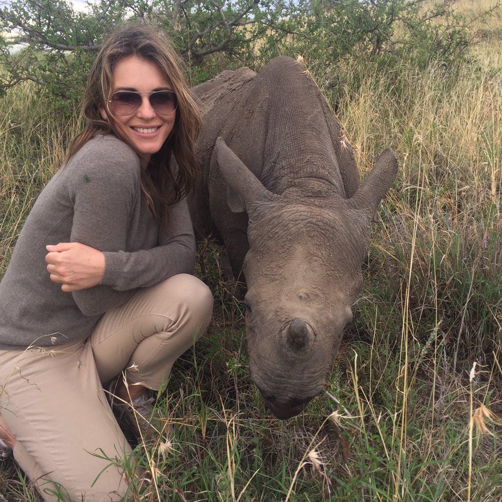 ChE3-EvWgAECKFd.jpg:large