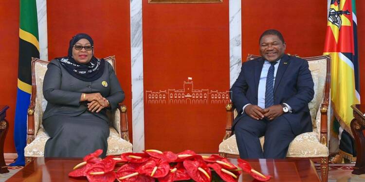 Tanzania and Mozambique join hands to create a hydrocarbon empire in Africa